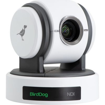 BirdDog Eyes P100