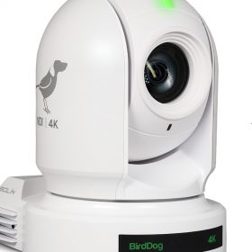 BirdDog Eyes P400