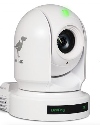 BirdDog Eyes P400